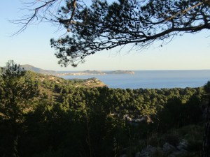 IMG_3704 (Medium)
